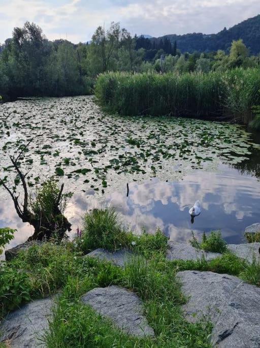 Civico 62 Relax Vicino Al Lago Canzo Zewnętrze zdjęcie