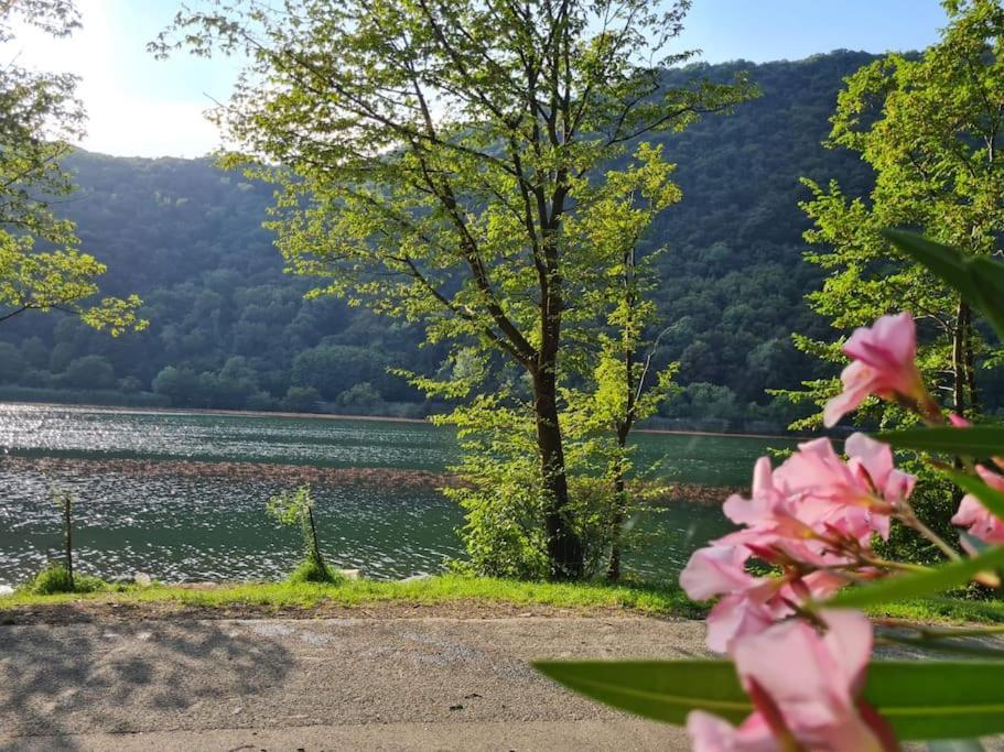 Civico 62 Relax Vicino Al Lago Canzo Zewnętrze zdjęcie